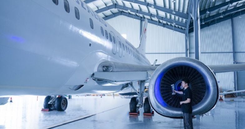aircraft inspection